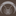 Favicon van 2020restauratieadvies.nl