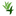Favicon van 4everaloevera.nl