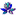 Favicon van absolutely-fit.nl