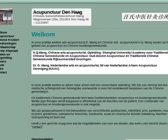 Acupunctuur Wang Den Haag