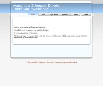 http://acupunctuurschouwenduiveland.nl
