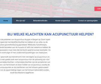 http://www.acupunctuur-kuyper.nl