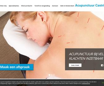 http://www.acupunctuurcastricum.nl