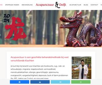 Acupunctuur Delft - Tess Fajardo