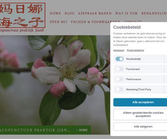 Acupunctuur Praktijk Jianli