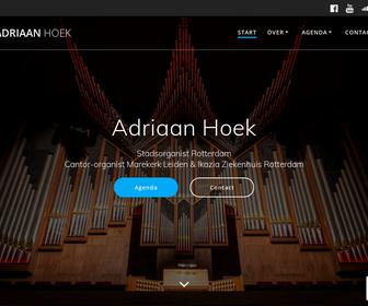 Adriaan Hoek Musicus