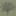 Favicon van afternoonstories.com