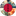 Favicon van agencyikigai.com