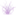 Favicon van airplantshop.nl