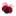 Favicon van aktivatours.nl