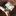 Favicon van alicedesign.nl