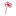 Favicon van alamira.nl