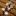 Favicon van albertvanveenendaal.nl