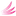 Favicon van alcuon.nl
