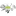 Favicon van algemeenbelangwinschoten.nl