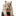 Favicon van alisaosinga.com