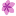 Favicon van amsterdamseacupunctuur.nl