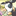 Favicon van angeliquevandam.nl