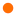 Favicon van animore.nl