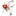 Favicon van anjapiranja.nl