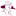 Favicon van anneliquemode.nl