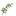 Favicon van annevandersligte.nl