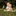 Favicon van anoukvermeulenfotografie.nl