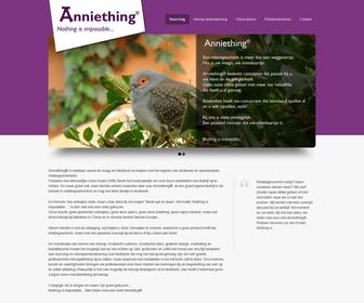 http://www.anniething.com