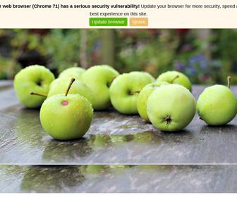 http://www.appelenfrismakelaars.nl