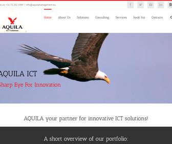 Aquila Management Consulting