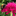 Favicon van aratuinontwerp.nl
