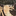 Favicon van artofbuilding.nl