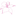 Favicon van astridrenses.nl