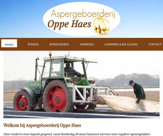 http://www.aspergeroggel.nl