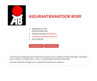 http://www.assurantiekantoorboer.nl