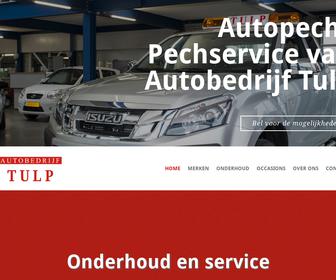 http://www.auto-tulp.nl