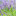 Favicon van b-bdelavendel.com