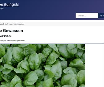 https://b-visible.nl