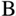 Favicon van barbarazeist.nl