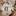 Favicon van babyvibe.eu