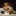 Favicon van bacchante.nl