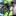 Favicon van balanceyou.net