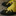 Favicon van barbaravisschedijk.nl