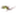 Favicon van bartfotografie.eu