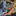 Favicon van basvandelden.com