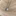 Favicon van batunique.nl