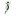 Favicon van bayramfysiotherapie.nl