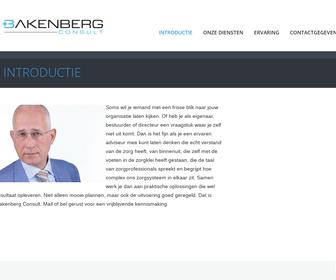 Bakenberg Consult