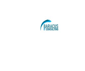 Baracus IT Consulting