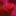 Favicon van beautyenbeweging.nl
